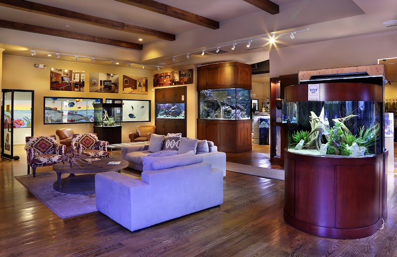 Fish Gallery | Aquarium Superstore - Photo 3