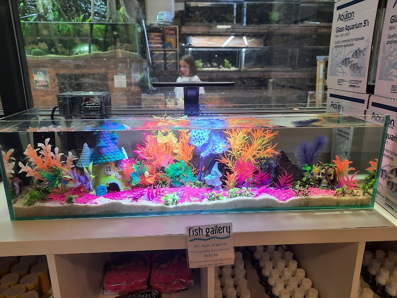 Fish Gallery | Aquarium Superstore - Photo 4