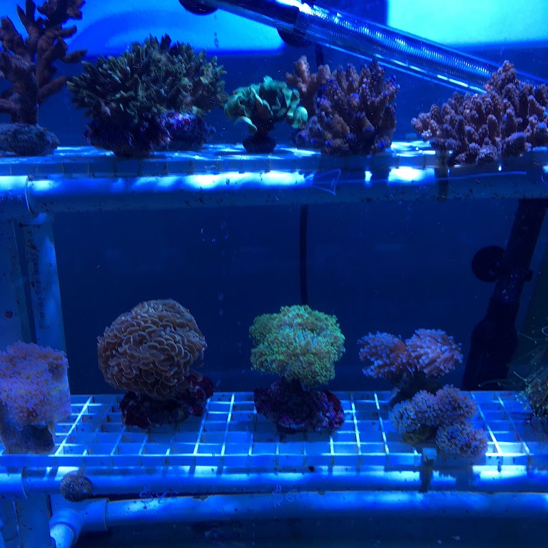Infinity Fish LLC - Photo 2