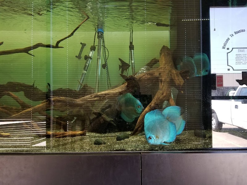 Infinity Fish LLC - Photo 3