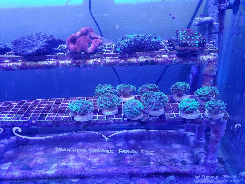 Infinity Fish LLC - Photo 4