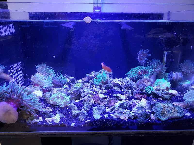 Infinity Fish LLC - Photo 5