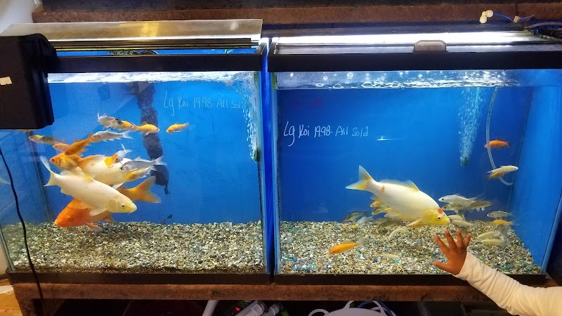 North Waco Tropical Fish LLC - Photo 3