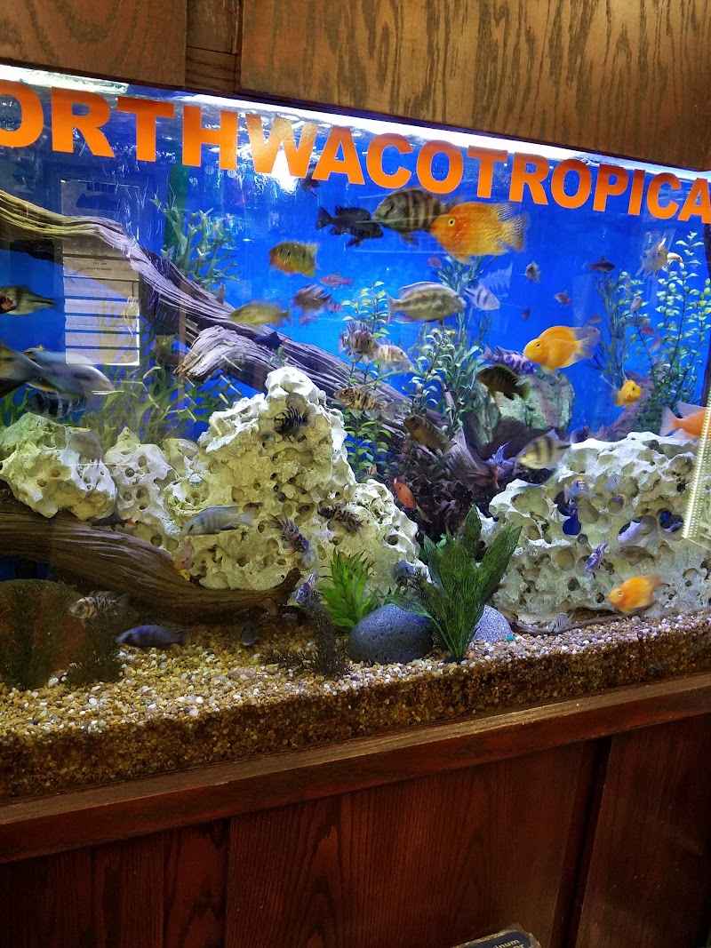 North Waco Tropical Fish LLC - Photo 5
