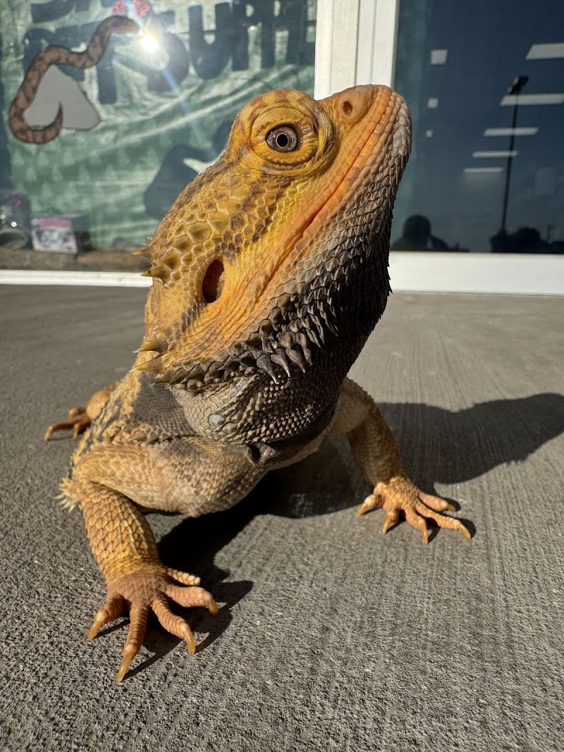 CTX Savage Pet Supply - Photo 4