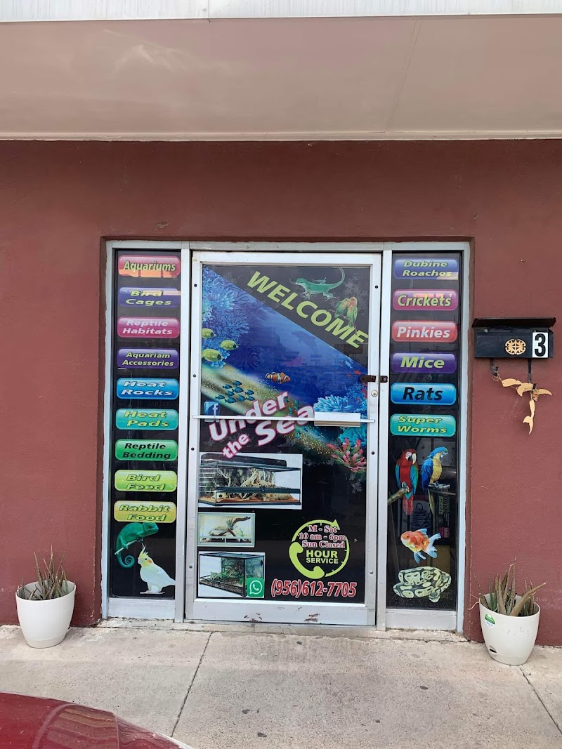 Under The Sea - Photo 1