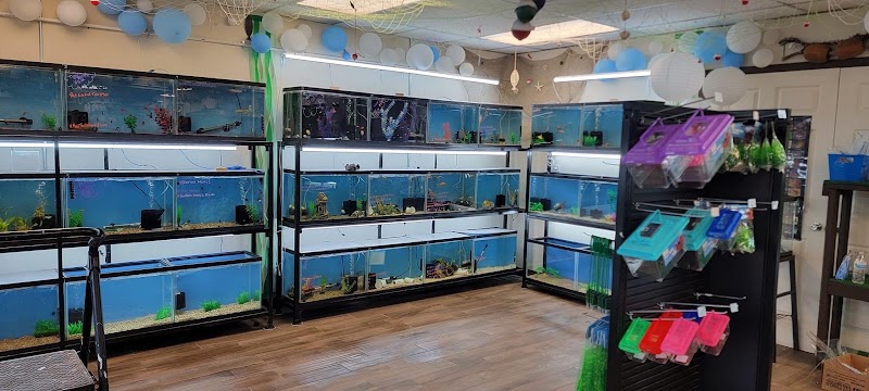 Under The Sea - Photo 2