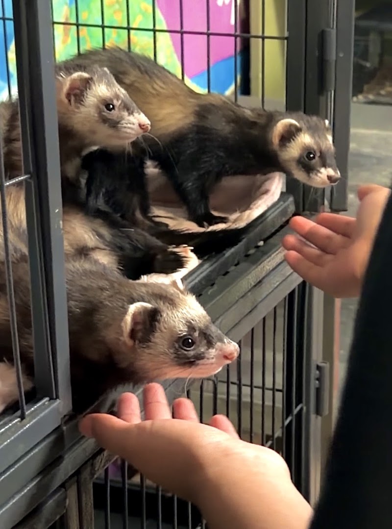 Under The Sea - Photo 3