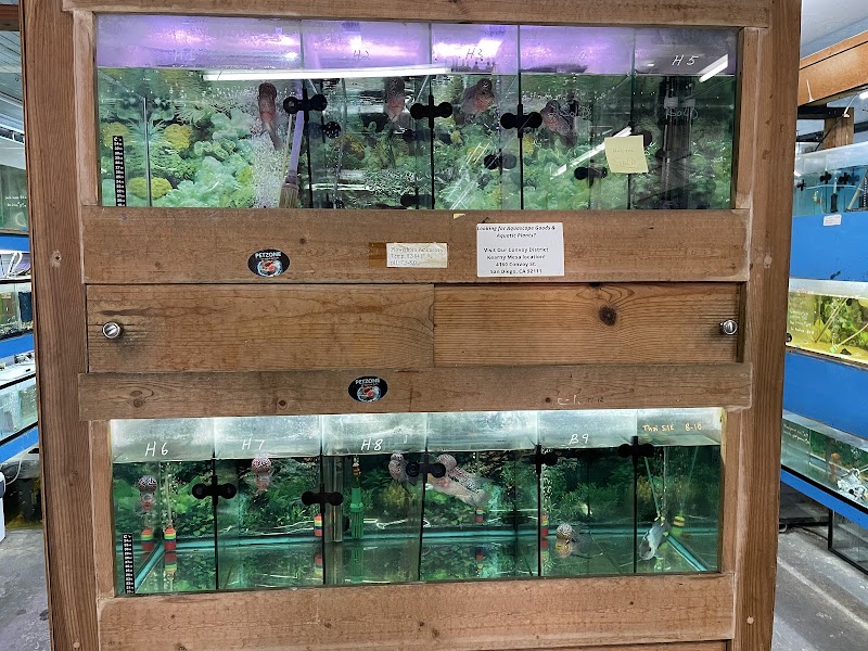 Pet Zone Tropical Fish - Photo 4