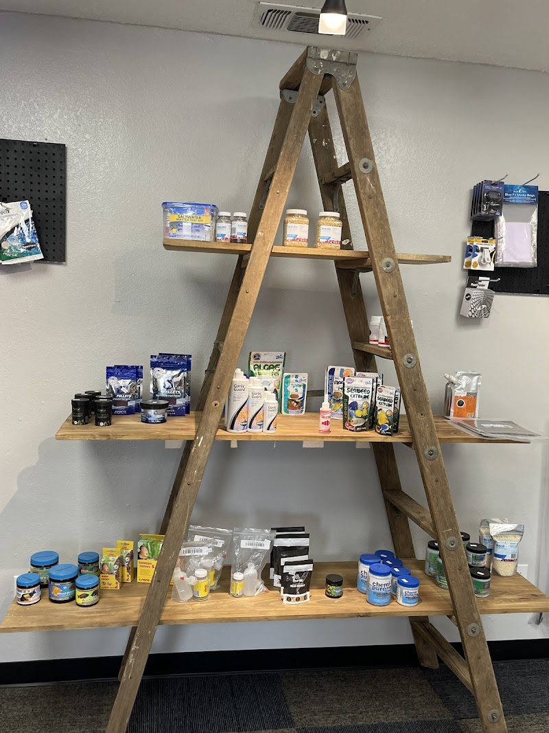 The Fish Bowl - Photo 3