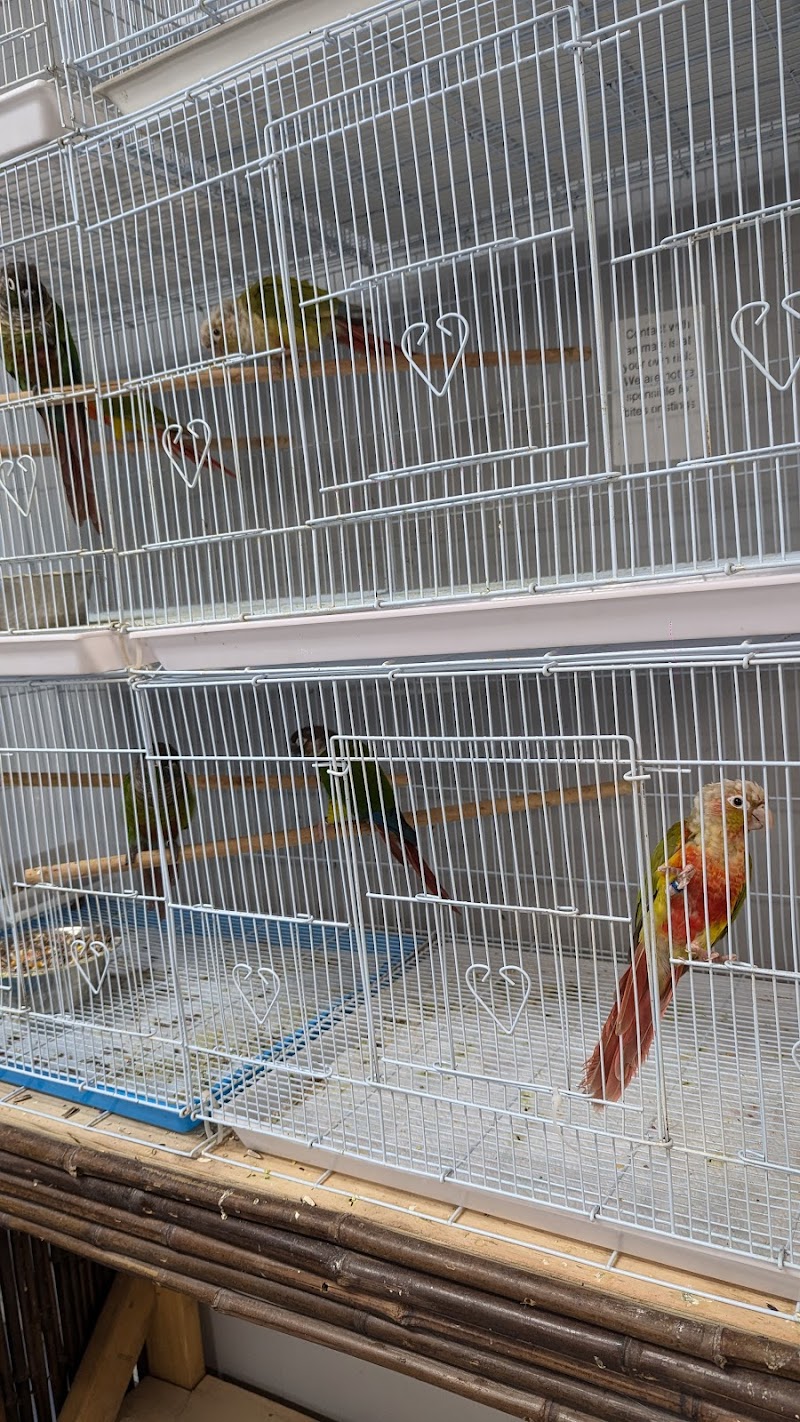 Jumanji Pet Store - Photo 5