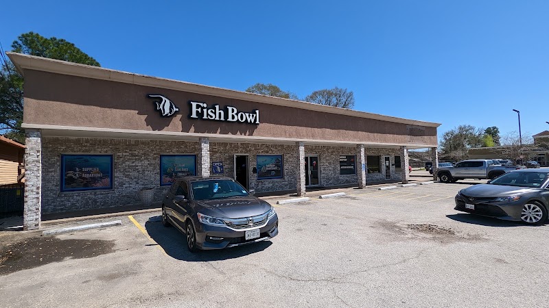 The Fish Bowl and More - Photo 1