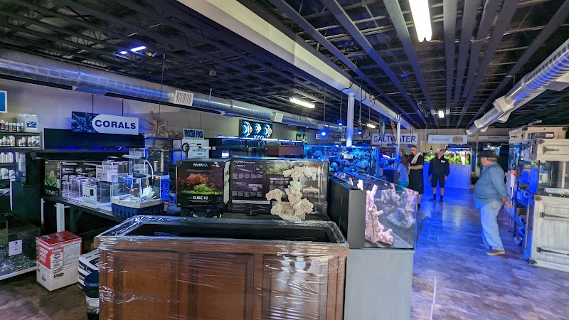 The Fish Bowl and More - Photo 2