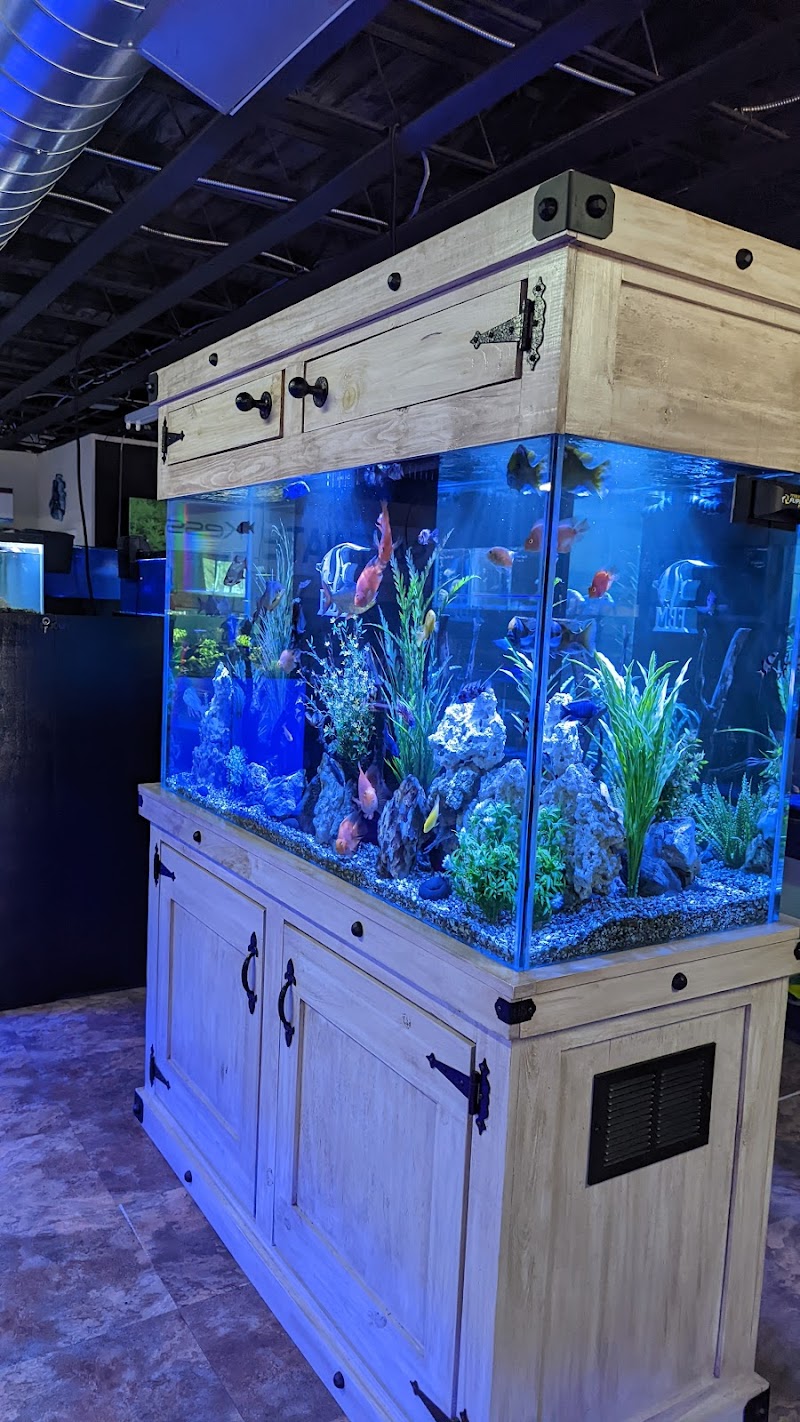 The Fish Bowl and More - Photo 3