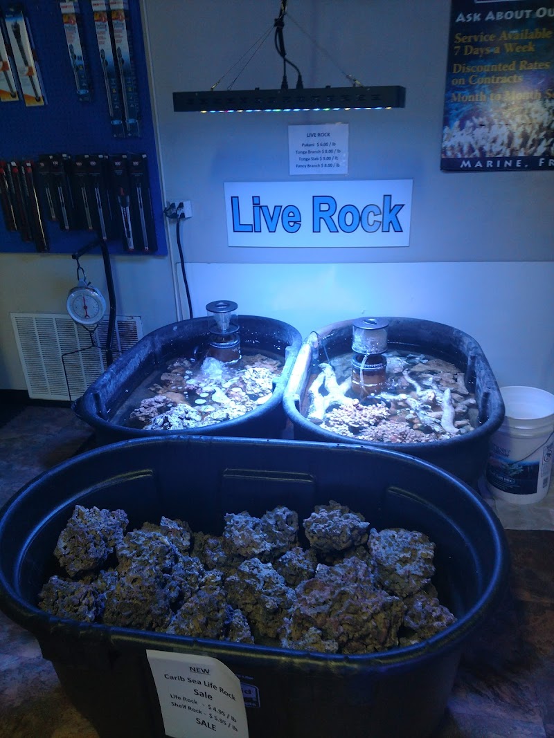 The Fish Bowl and More - Photo 5