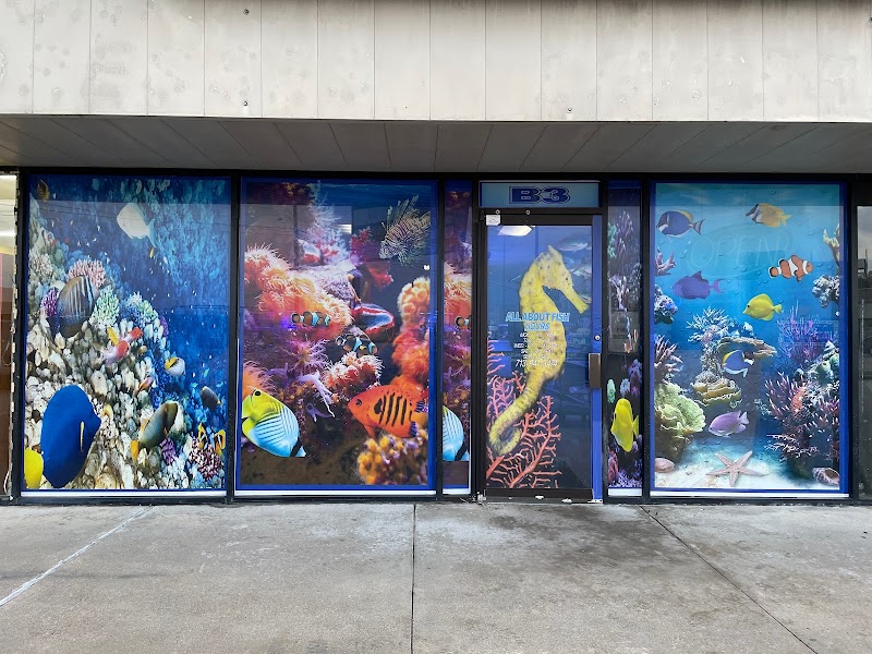 All About Fish - Photo 1