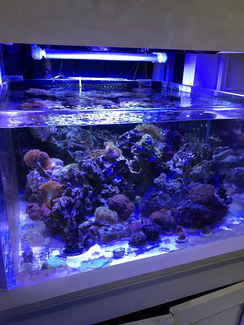 All About Fish - Photo 2