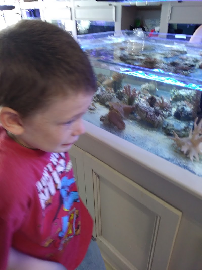 All About Fish - Photo 5