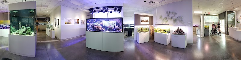Aquarium Design Group - Photo 3