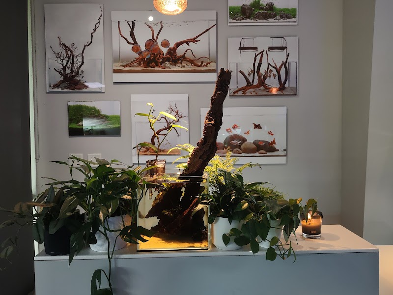 Aquarium Design Group - Photo 4