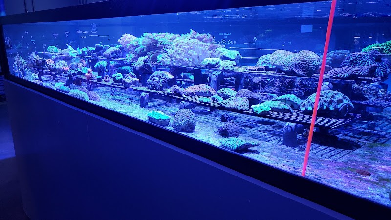 Aquarium Design Group - Photo 5