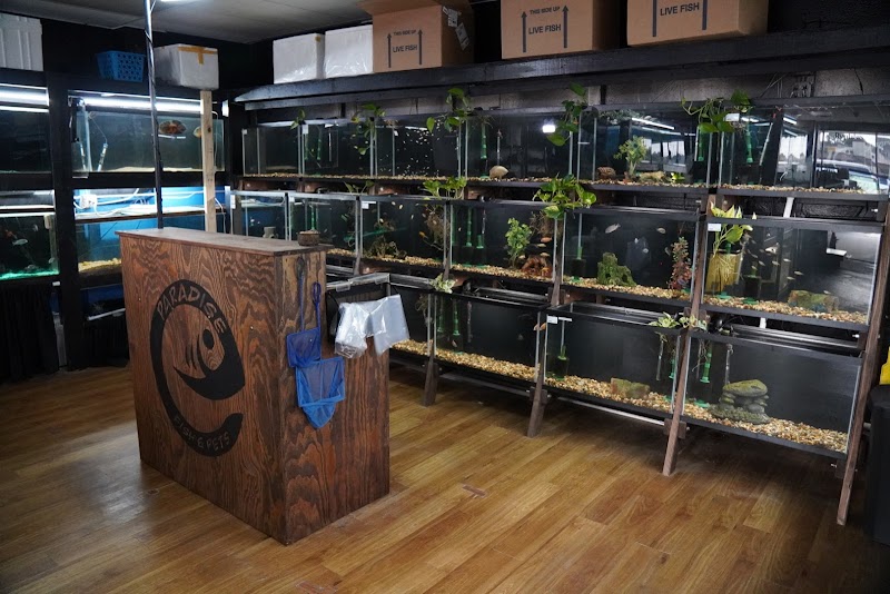 Paradise Fish And Pets - Photo 2