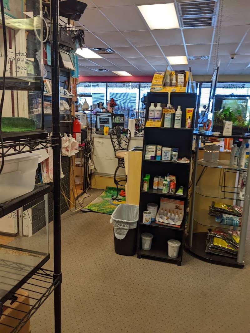 Paradise Fish And Pets - Photo 3