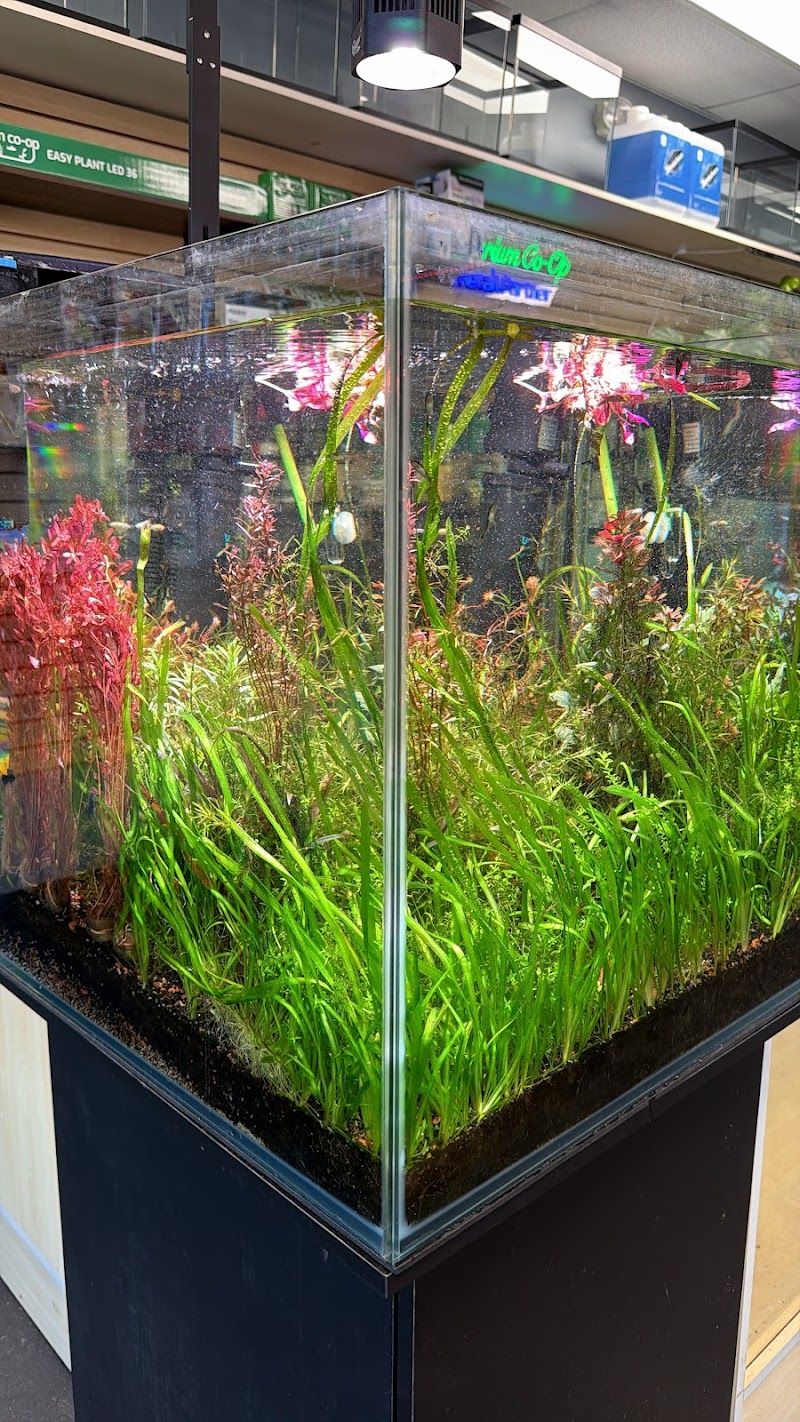 Paradise Fish And Pets - Photo 4