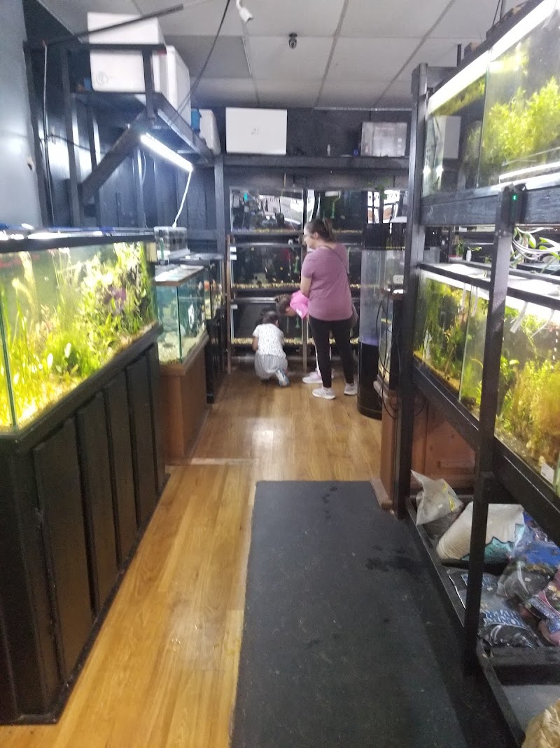 Paradise Fish And Pets - Photo 5