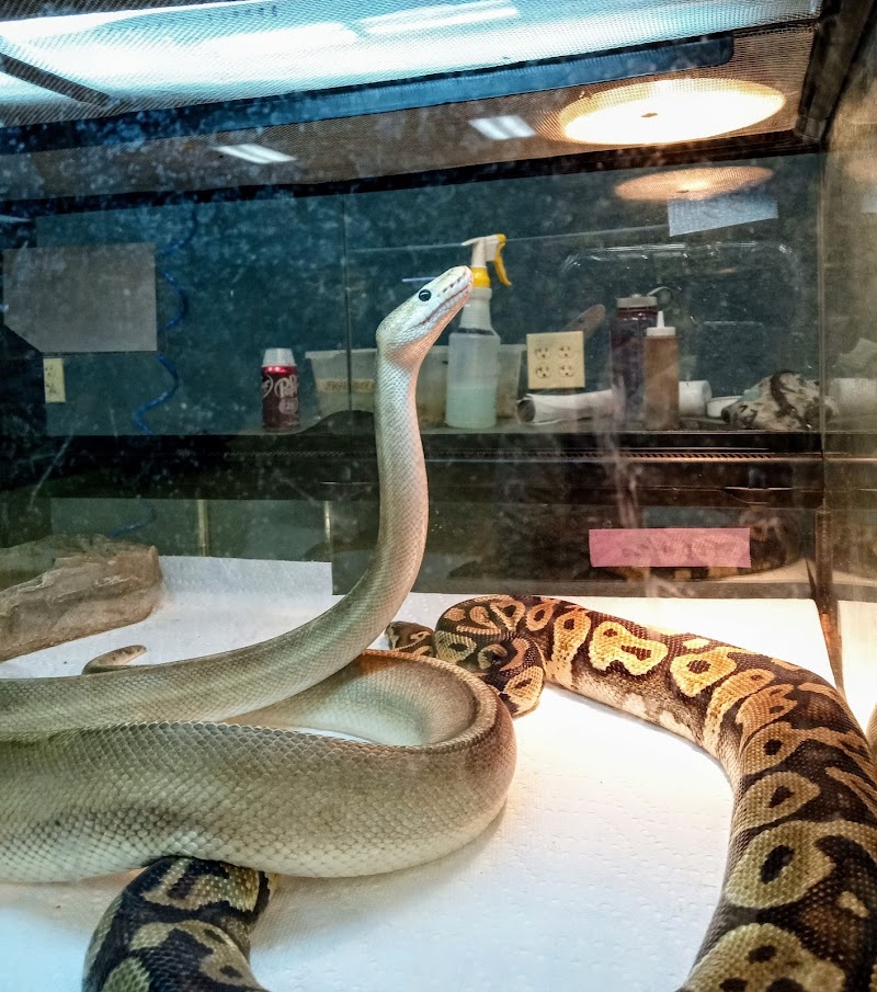 Zookeeper Exotics - Photo 4