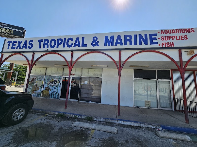 Texas Tropical & Marine - Photo 1