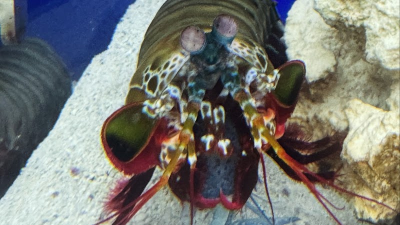 Texas Tropical & Marine - Photo 2