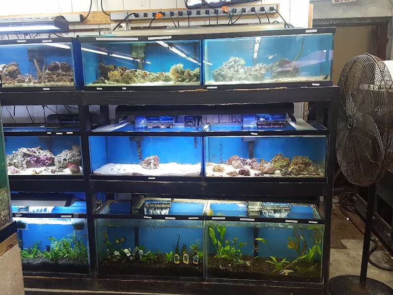 Texas Tropical & Marine - Photo 3