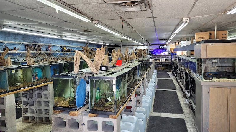 Texas Tropical & Marine - Photo 4