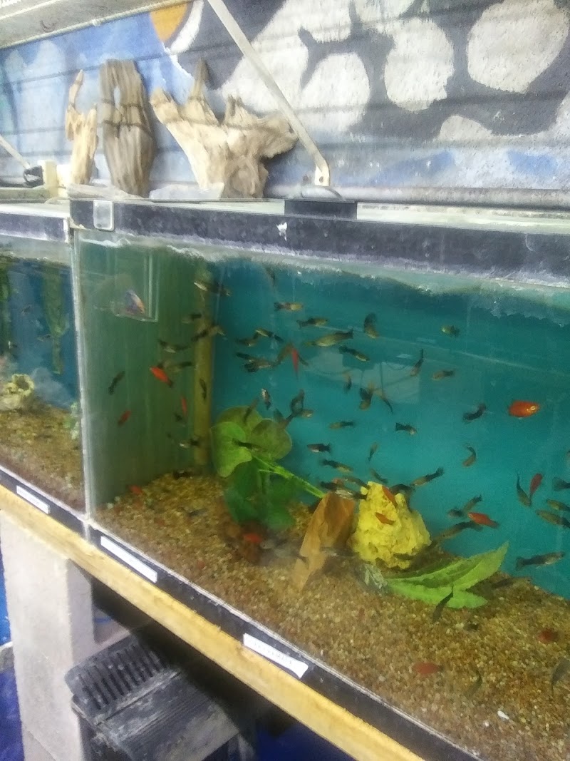 Texas Tropical & Marine - Photo 5