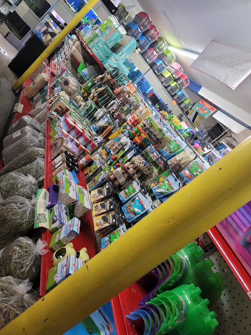 Southside Aquatics - Photo 2