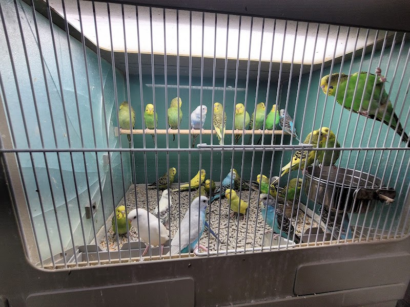 Southside Aquatics - Photo 3