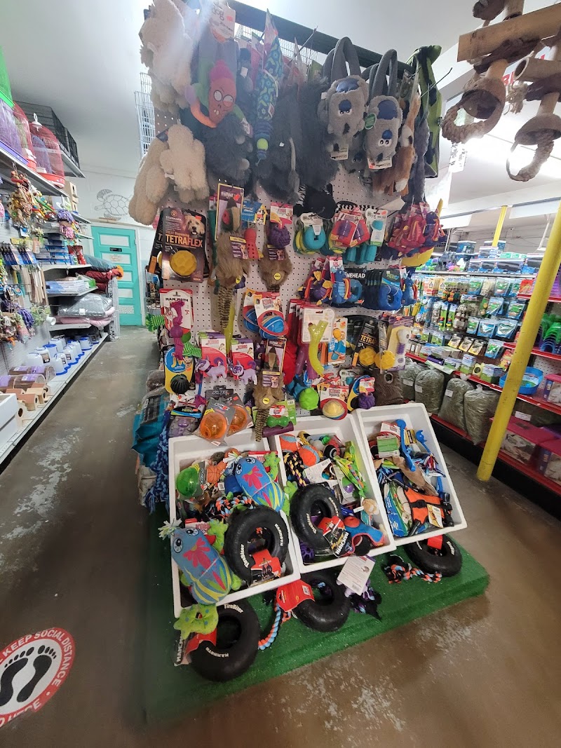 Southside Aquatics - Photo 5