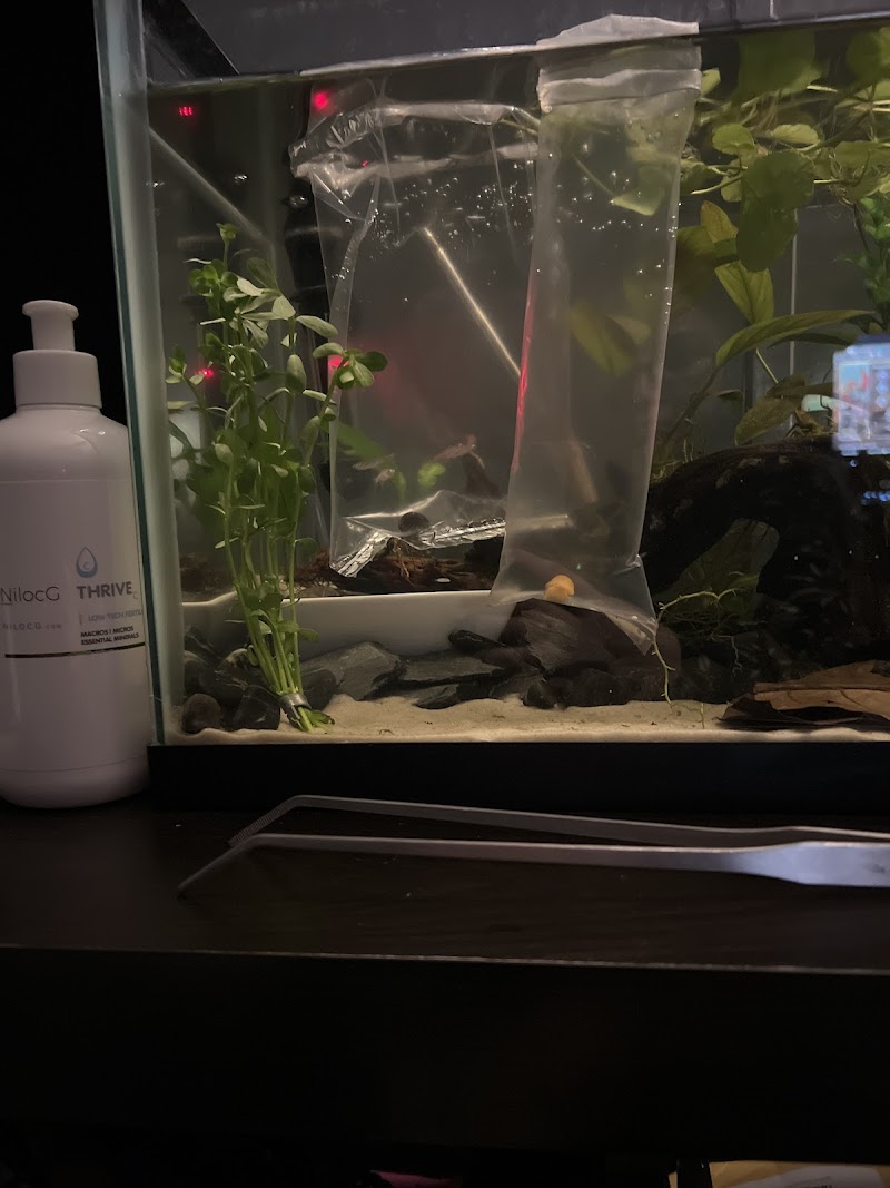 Elegant Reef - Tropical Fish Studio - Photo 4