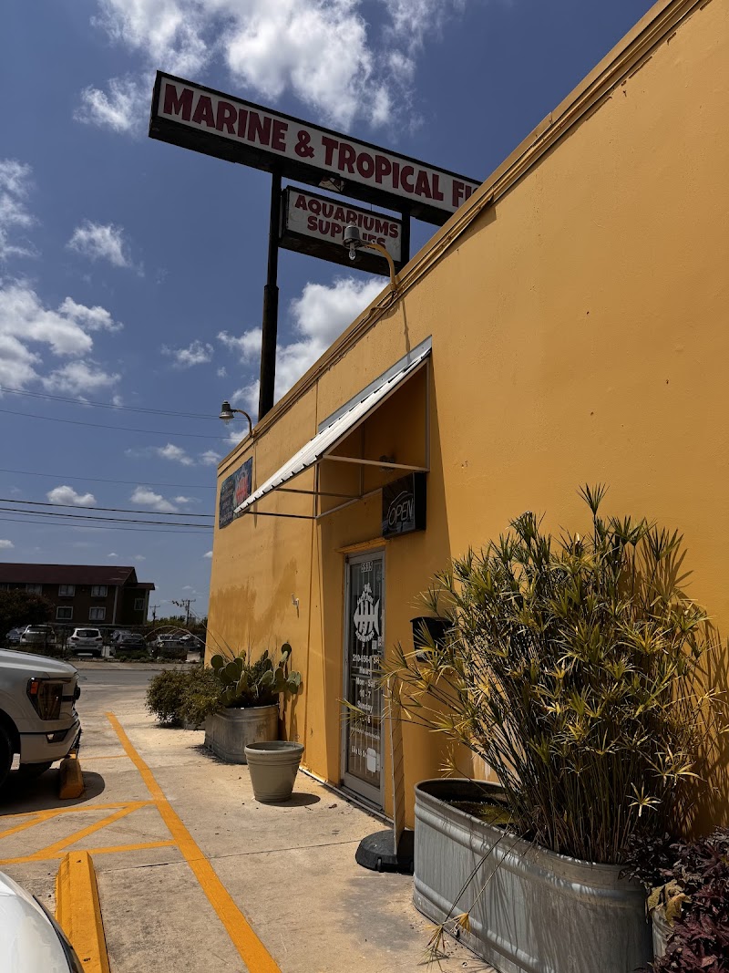 Salty Fish Aquariums - Photo 1