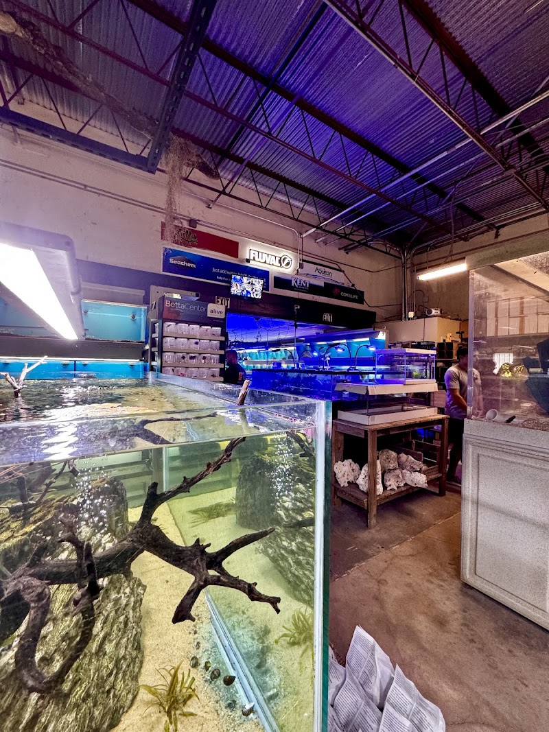 Salty Fish Aquariums - Photo 5