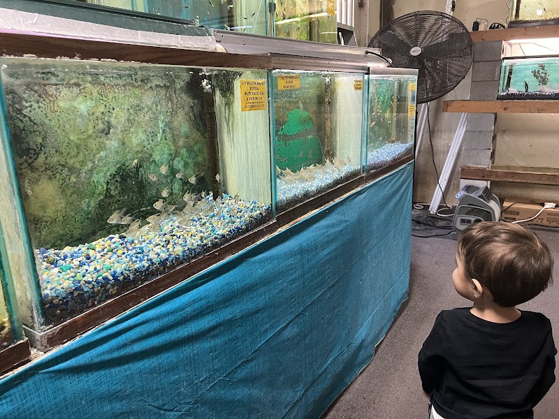 Fintique Tropical Fish Pet Store - Photo 5