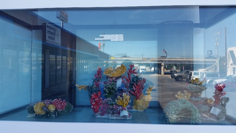 Aquarium Designs - Photo 1