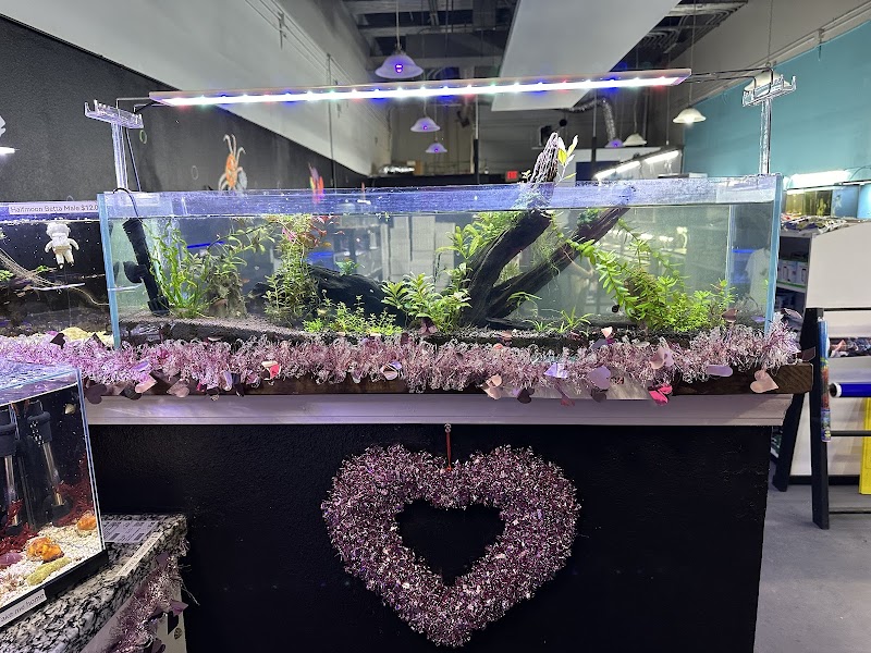 Lone Star Aquariums - Photo 3