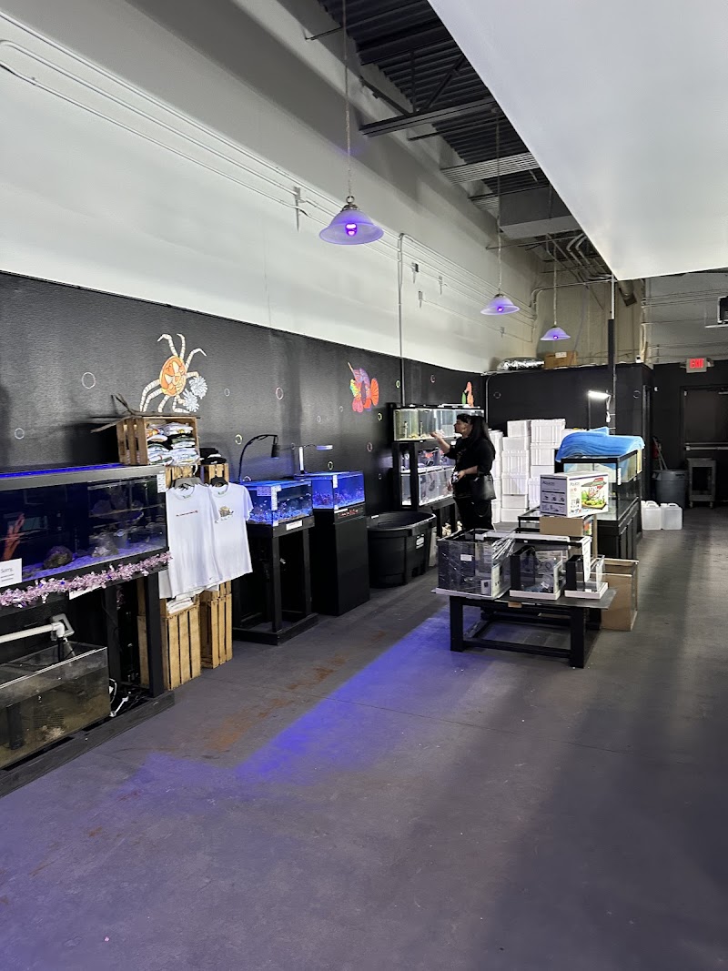 Lone Star Aquariums - Photo 4