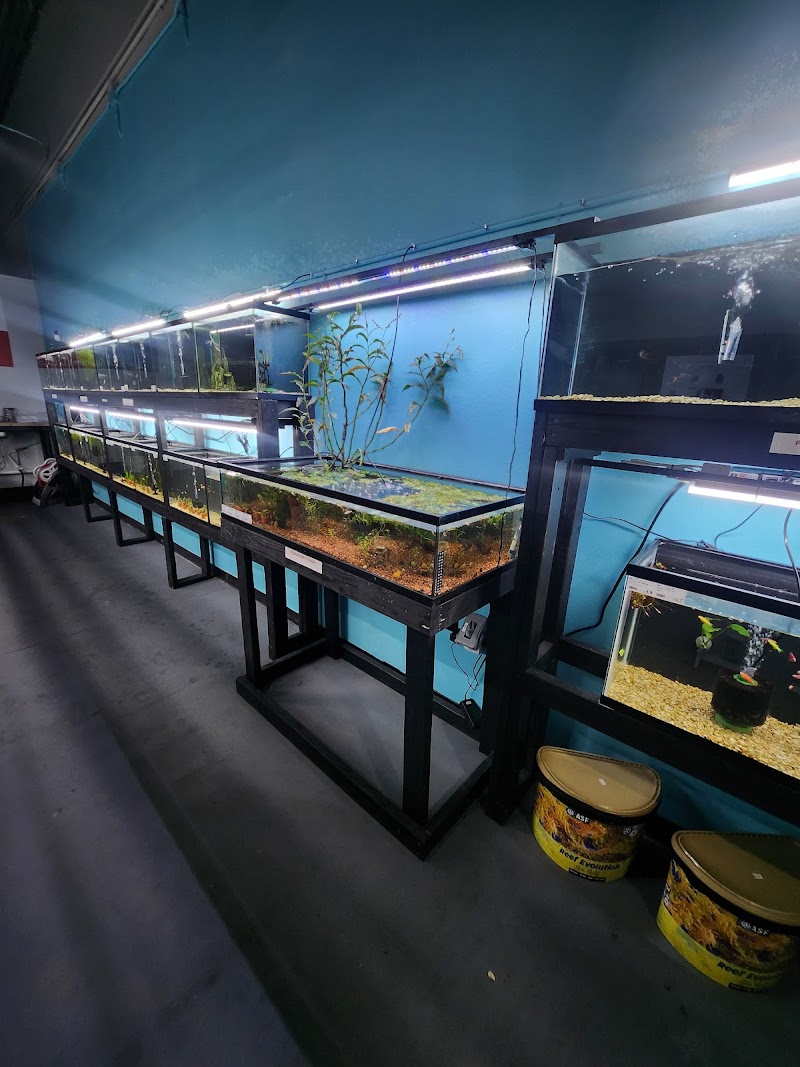 Lone Star Aquariums - Photo 5