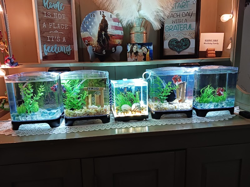 Papa Jim's Tropical Fish - Photo 2