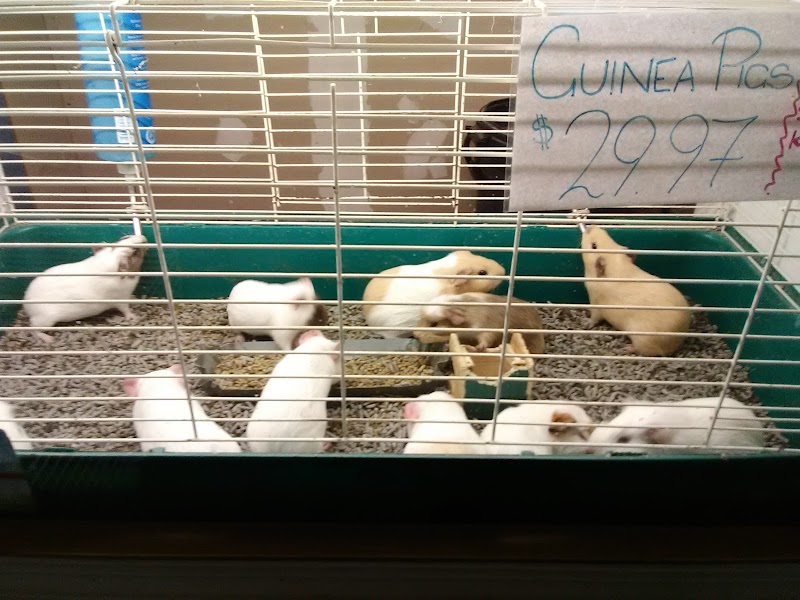 Papa Jim's Tropical Fish - Photo 4