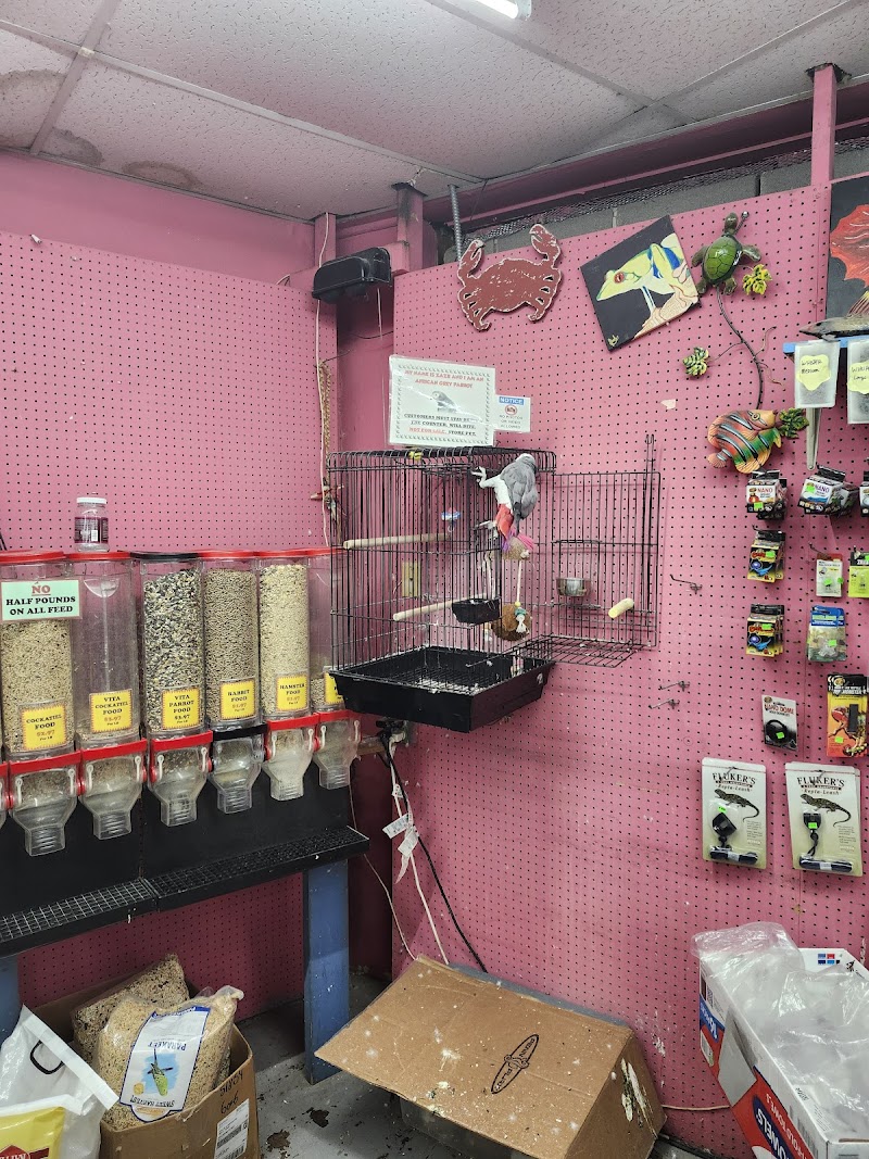 Papa Jim's Tropical Fish - Photo 5