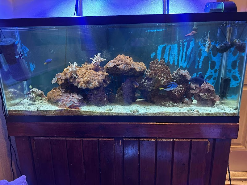 Reklaw Reef - Photo 1